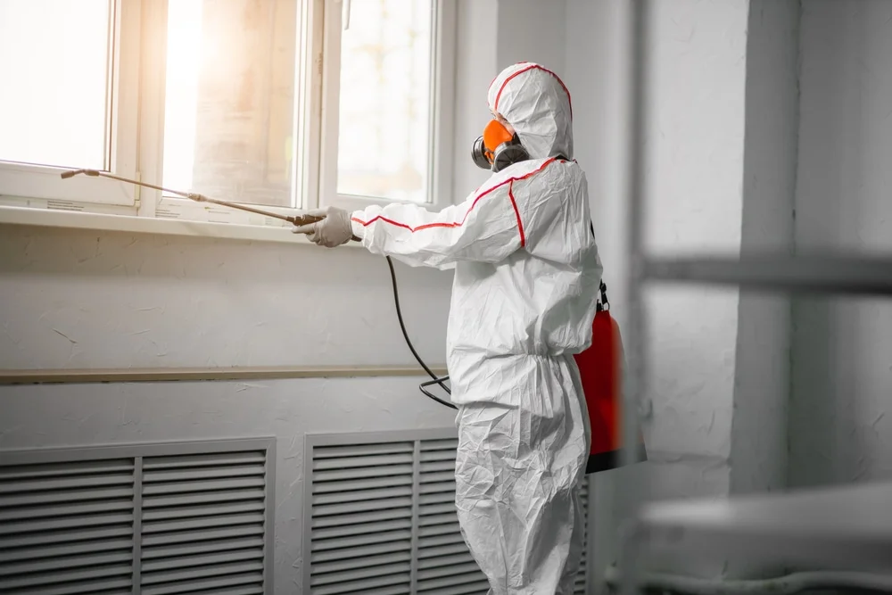Professional mold remediation services in Wareham, MA